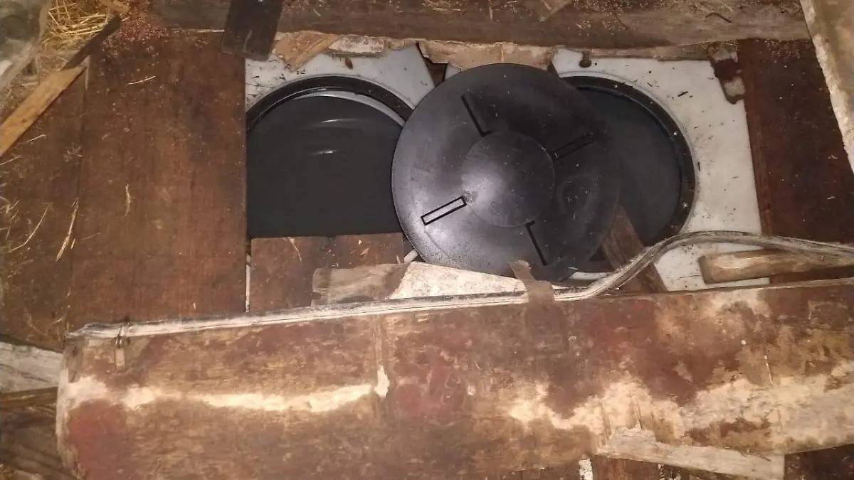 FOTO BOLETÍN 062  (2)