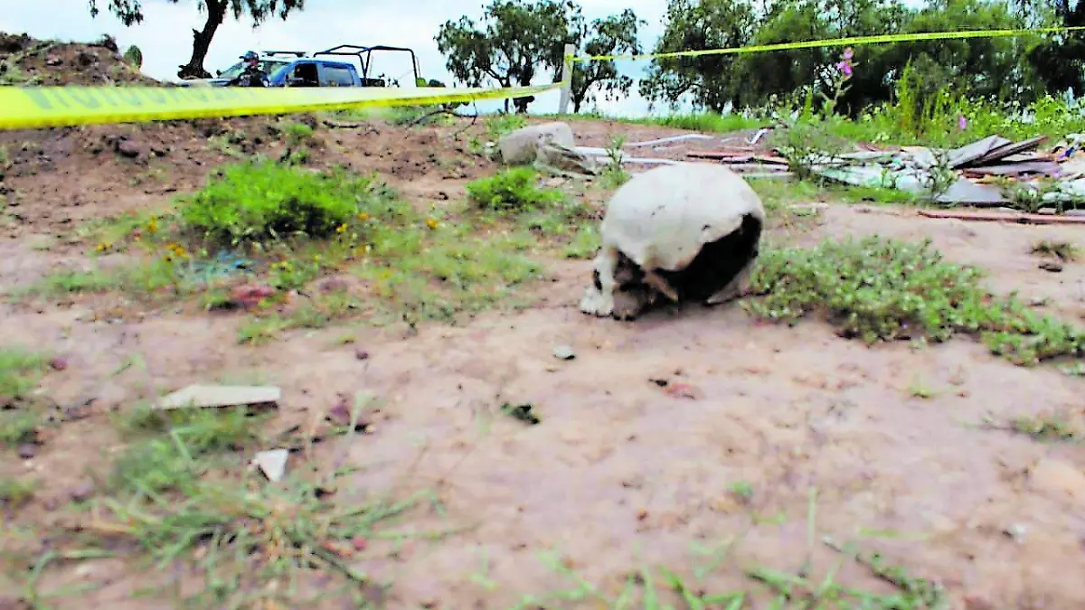 OSAMENTA PAG 11 N3_CMYK