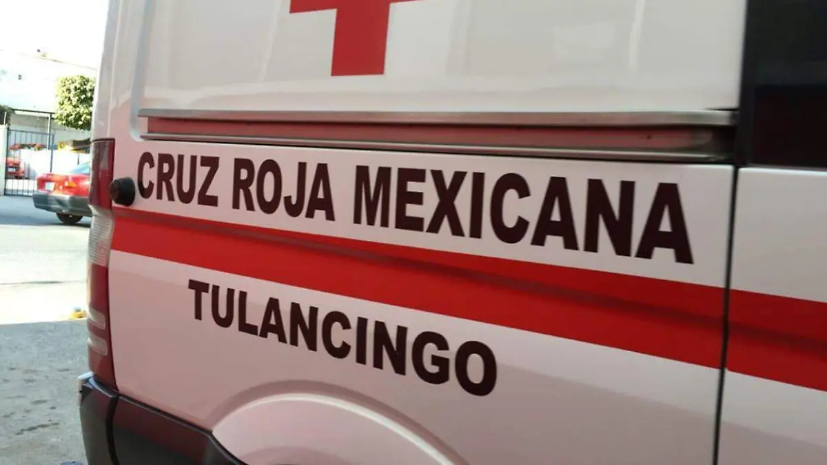 WhatsApp Image 2020-05-06 at 8.21.06 AM