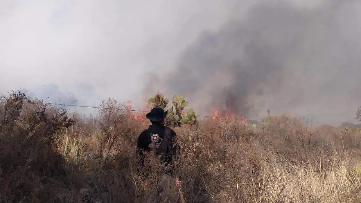 INCENDIO PITA
