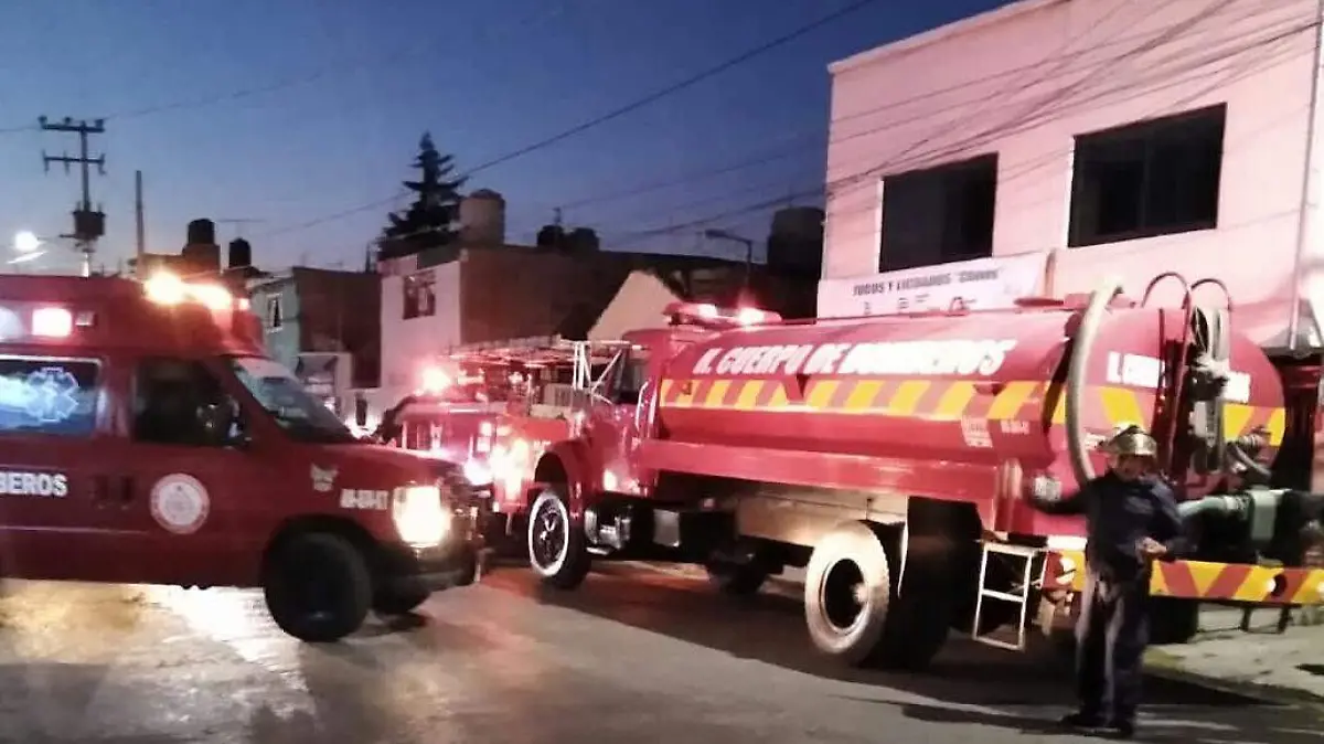 incendio árbol