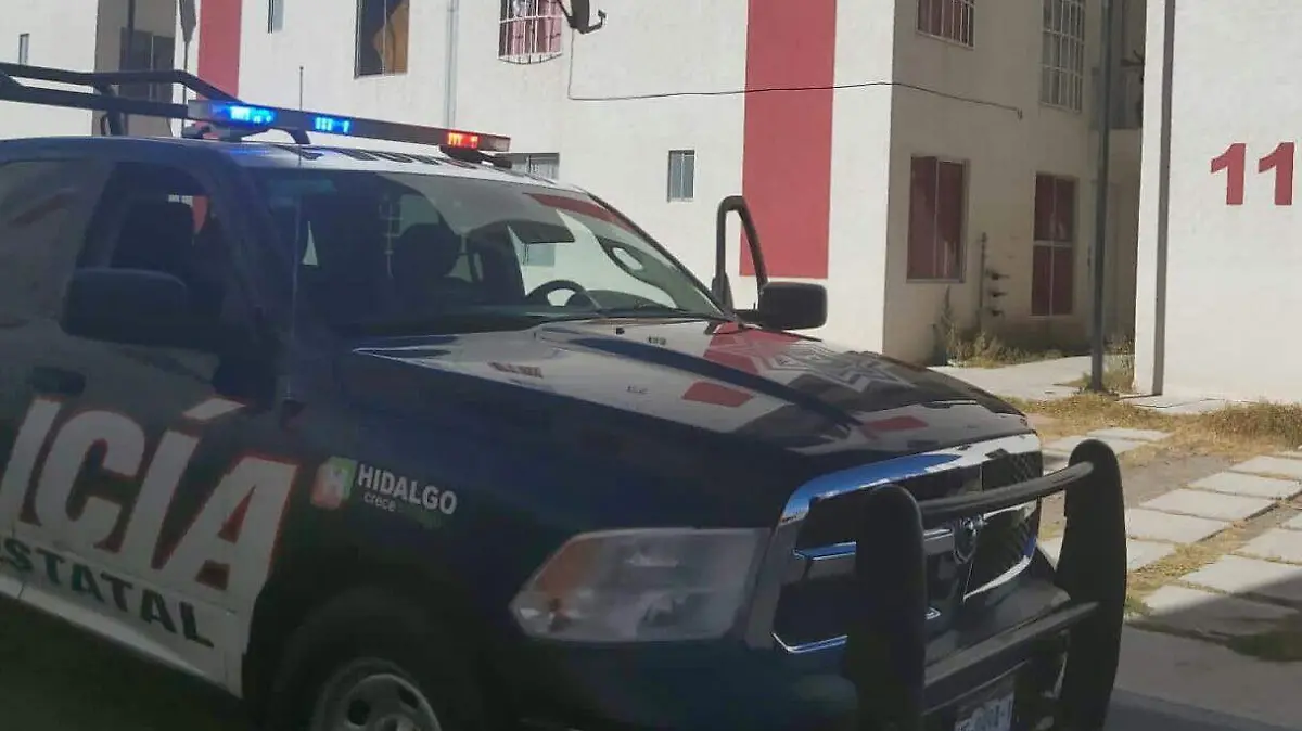 WhatsApp Image 2021-01-28 at 11.24.49