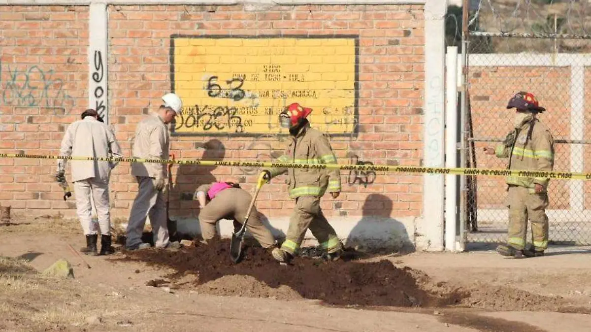 WhatsApp Image 2019-01-23 at 3.51.00 PM