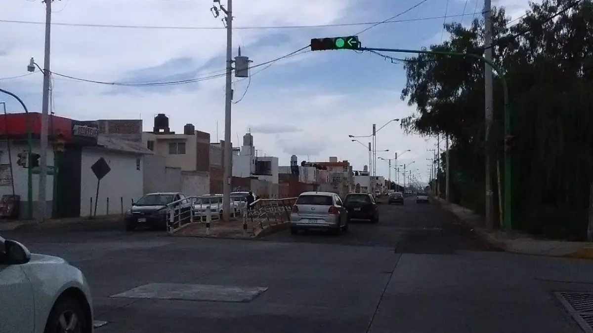 ATROPELLADO (2)