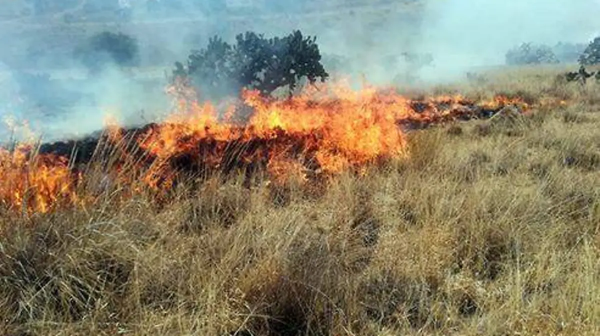 INCENDIOS PASTIZAL (2)