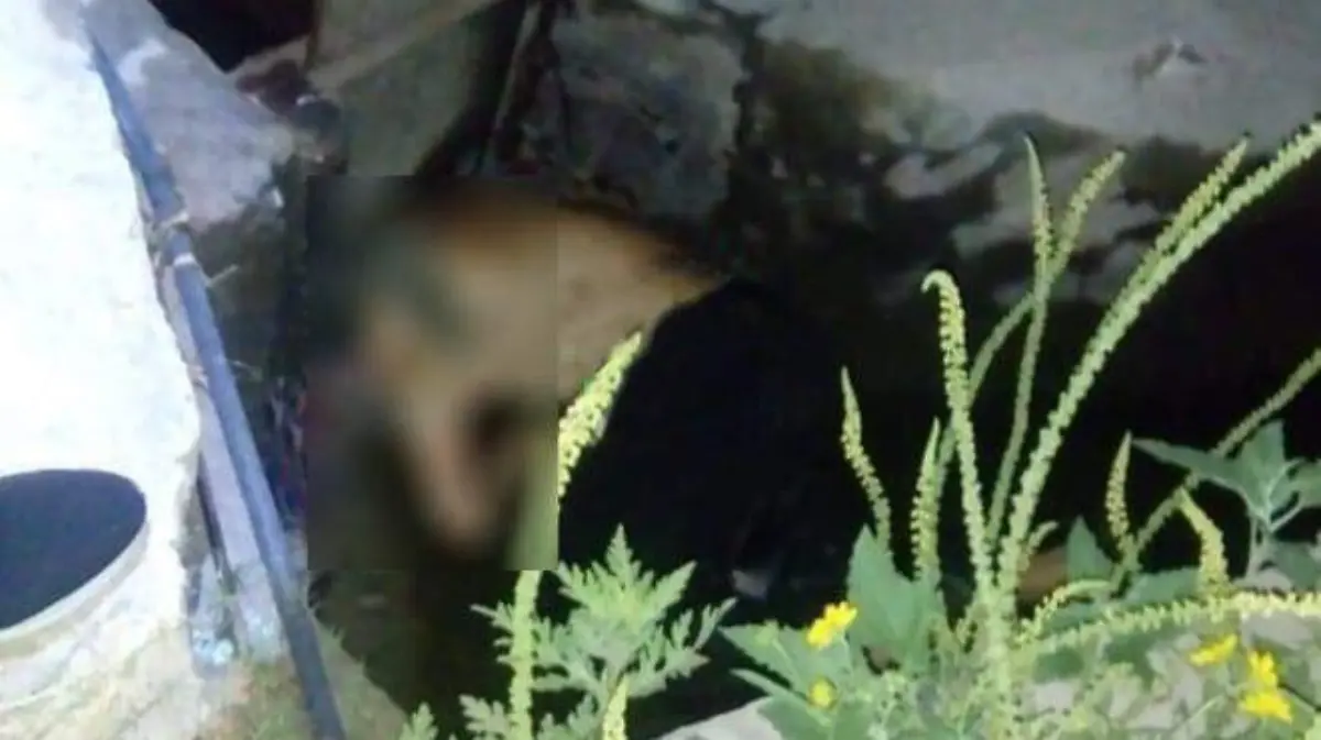 WhatsApp Image 2020-05-15 at 8.54.07 AM (2)