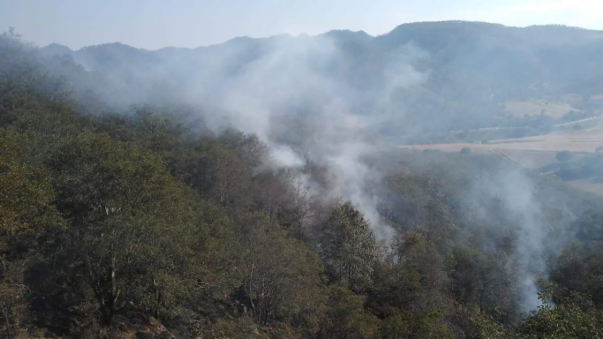 WhatsApp Image 2021-01-13 at 12.15.18