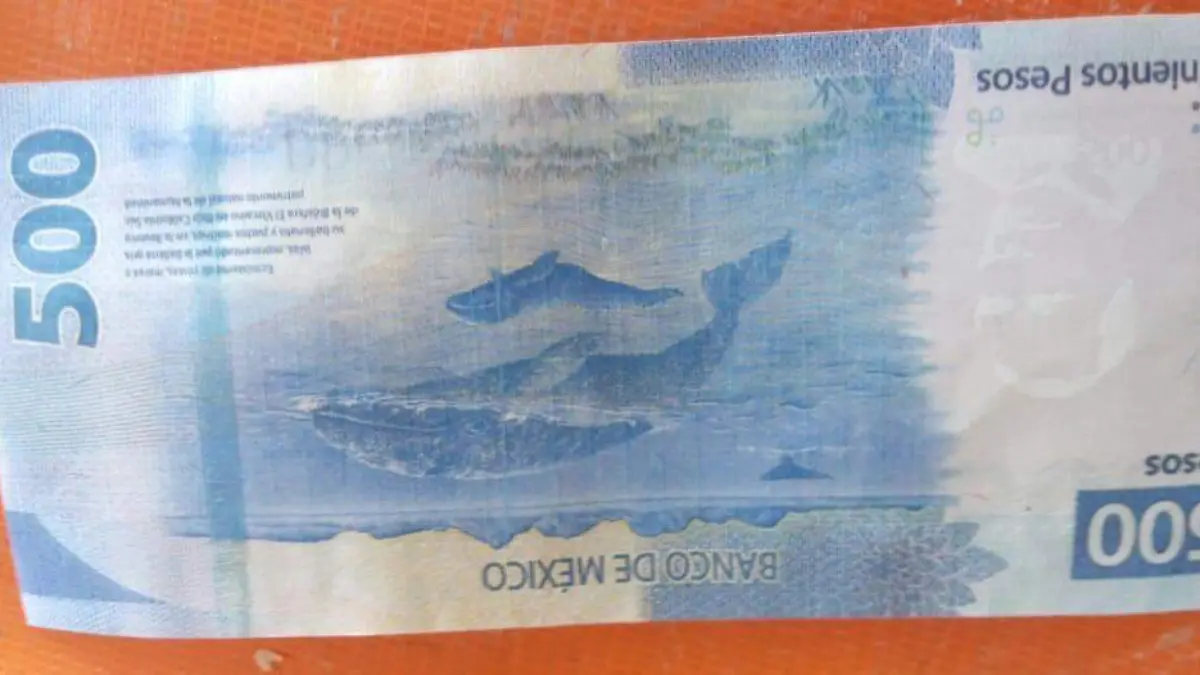 WhatsApp Image 2020-10-01 at 2.55.41 PM