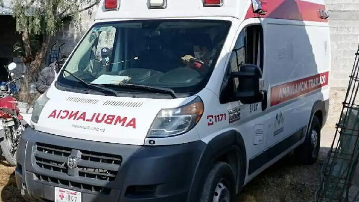 WhatsApp Image 2021-01-14 at 12.52.25