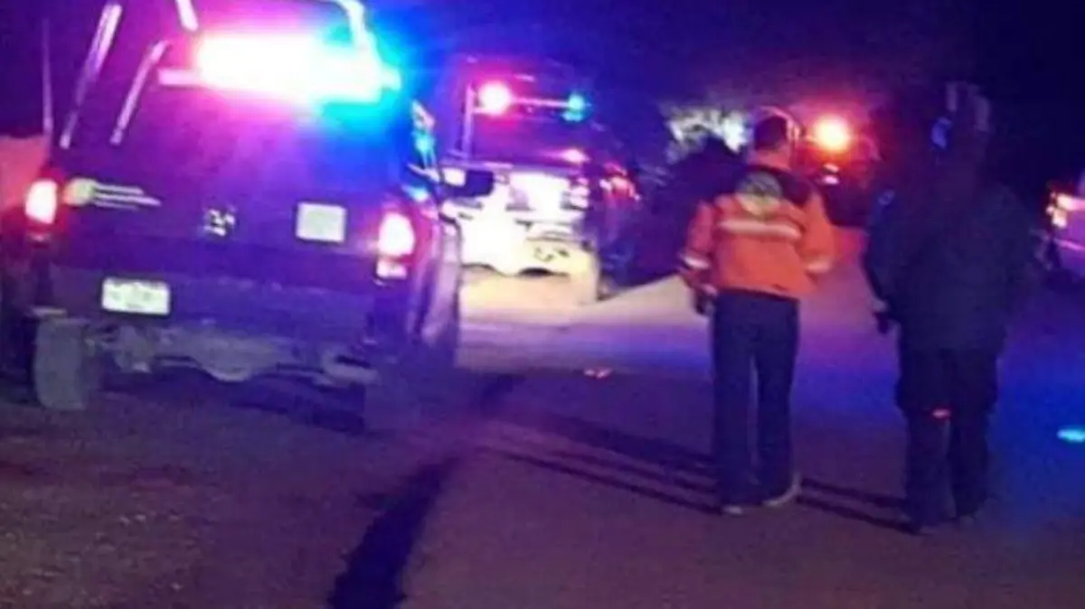 WhatsApp Image 2020-09-23 at 17.53.04