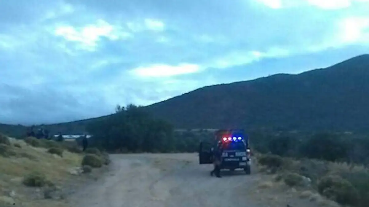 WhatsApp Image 2020-11-20 at 2.31.03 PM