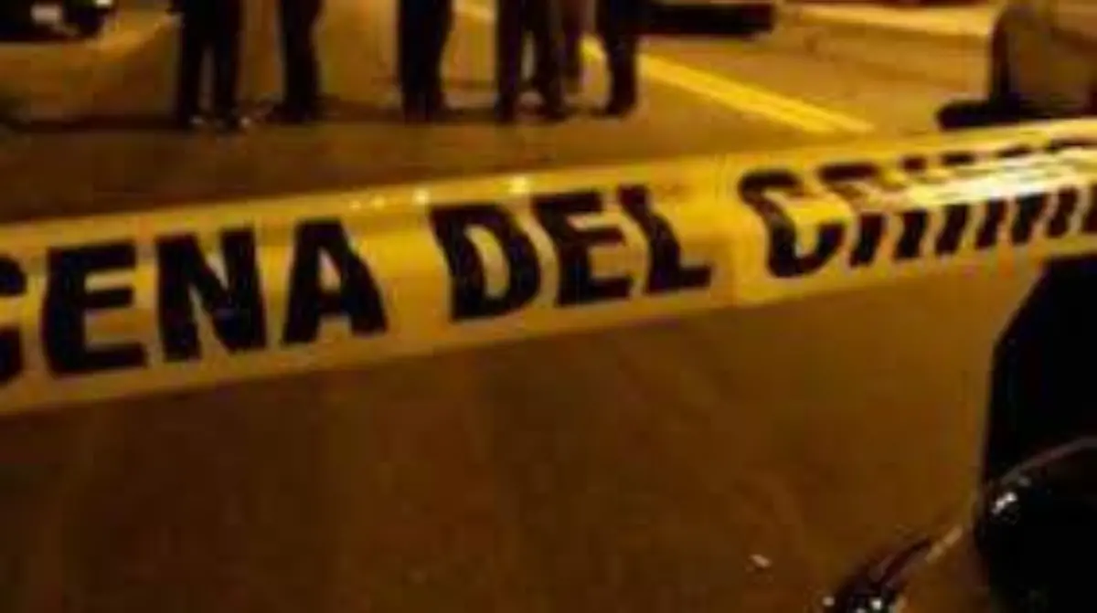descarga