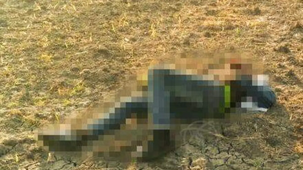 WhatsApp Image 2021-01-09 at 11.23.32