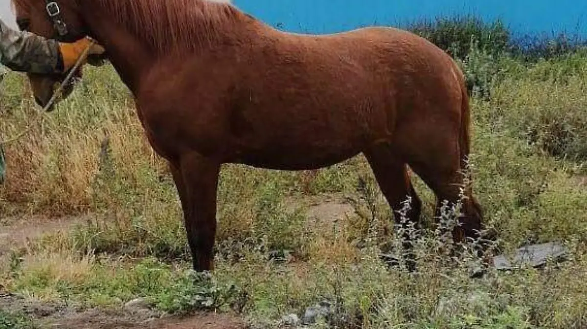 WhatsApp Image 2020-11-24 at 17.10.27