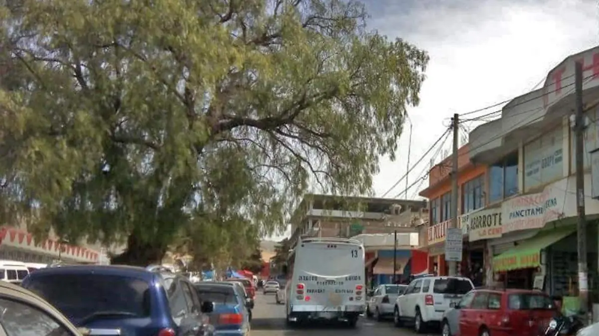 ARBOL