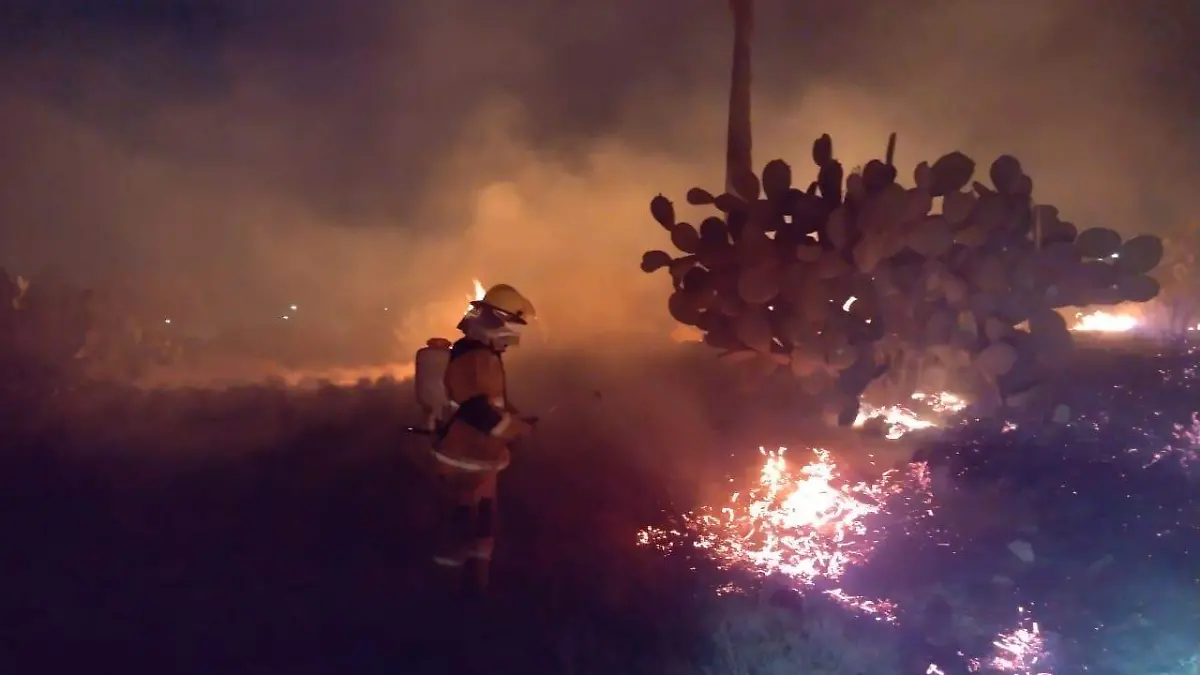 WhatsApp Image 2021-03-23 at 6.54.16 AM