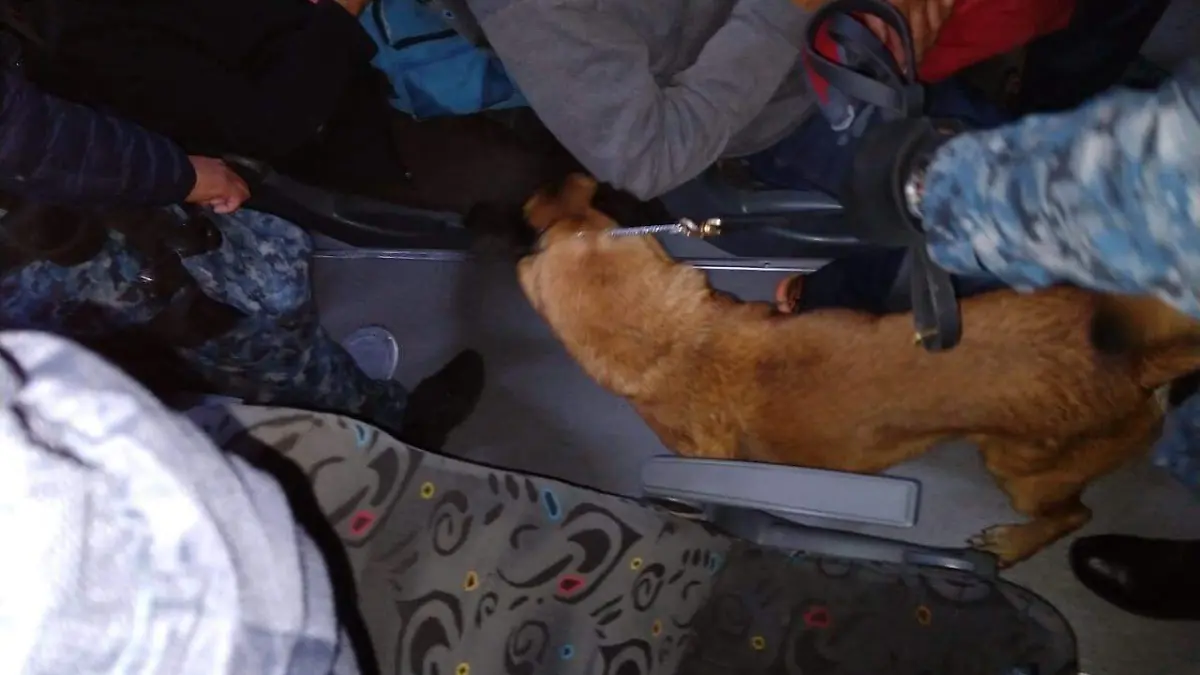 OPERATIVO CARRETERA PACHUCA