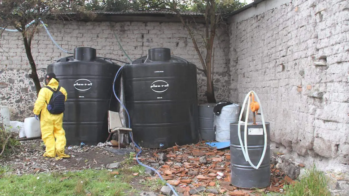 WhatsApp Image 2020-11-13 at 13.45.10