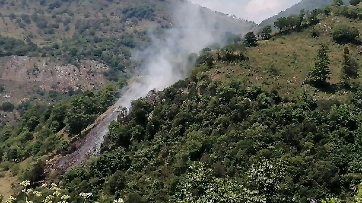 WhatsApp Image 2020-05-08 at 23.47.42