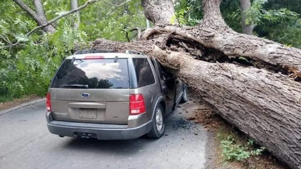 WhatsApp Image 2020-05-15 at 8.54.07 AM (1)