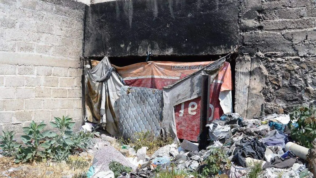 ABANDONO (1)