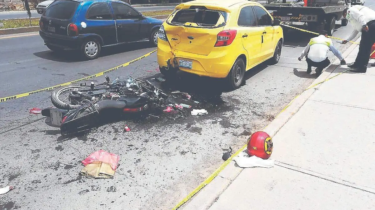 WhatsApp Image 2019-05-08 at 17.51.56