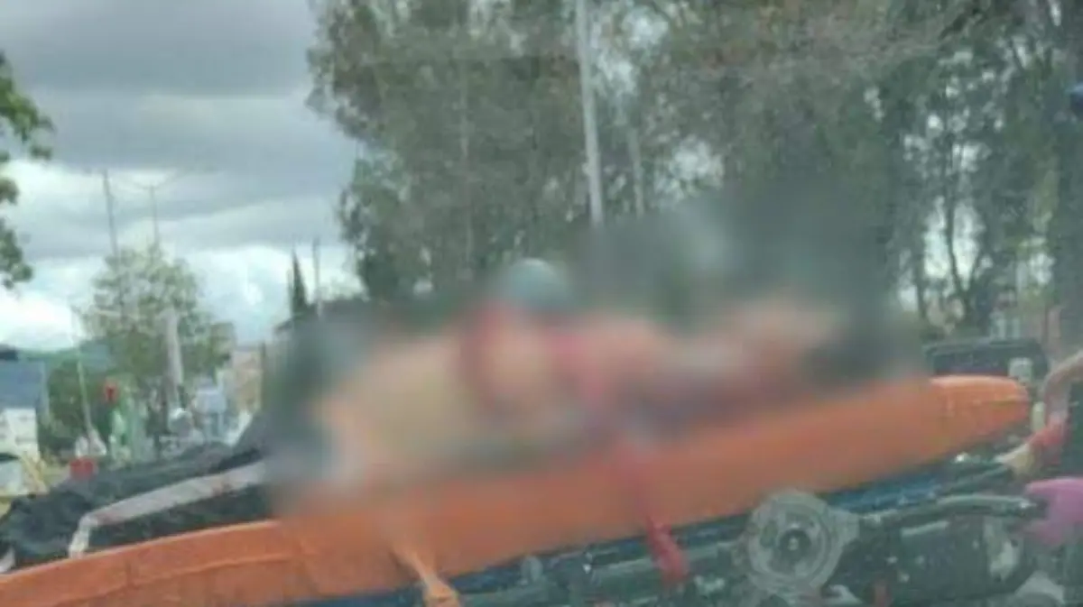 WhatsApp Image 2021-09-14 at 4.11.03 PM