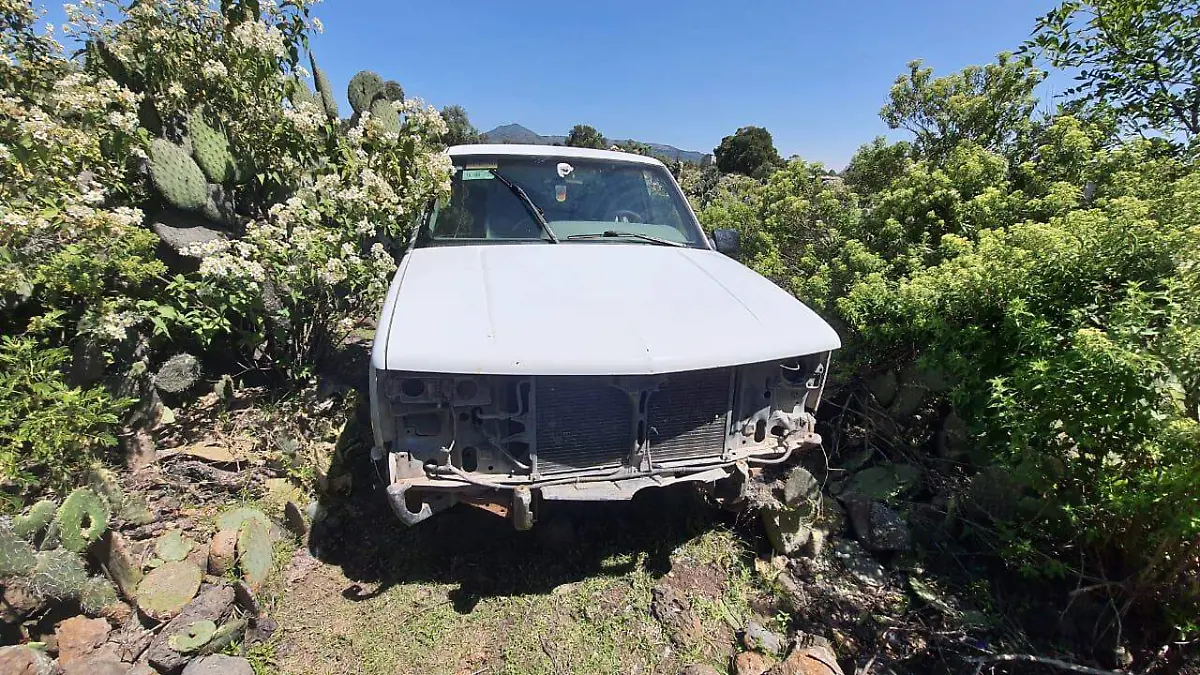 WhatsApp Image 2020-10-01 at 11.14.58