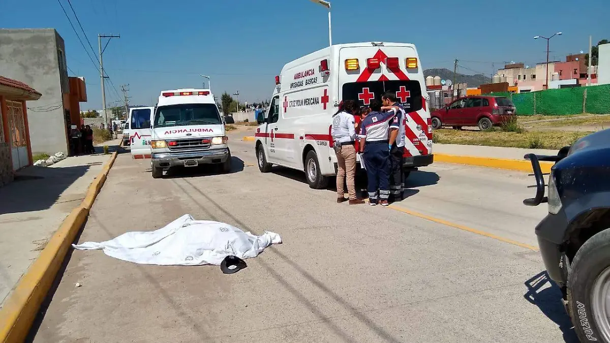 WhatsApp Image 2019-03-01 at 4.21.33 PM