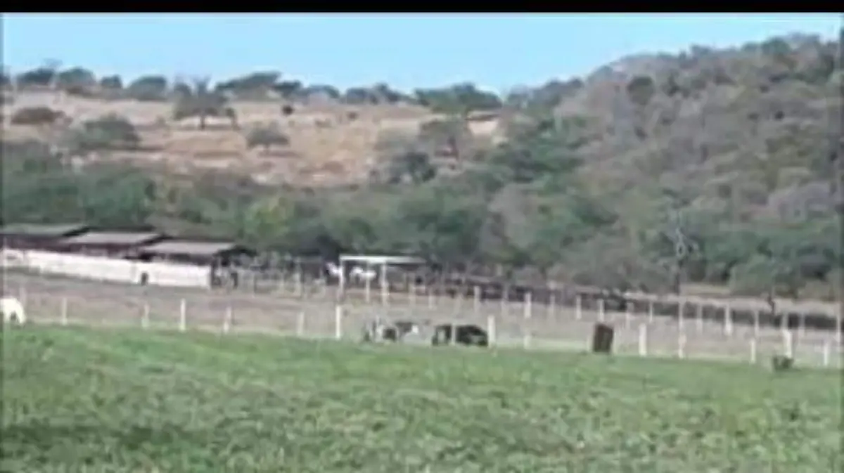 CABALLOS EPA