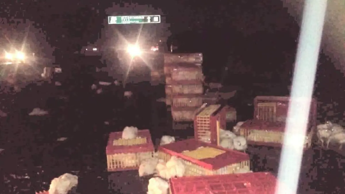 Camioneta-accidente-pollos