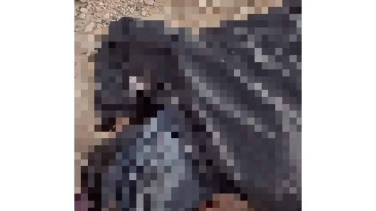 WhatsApp Image 2021-01-20 at 12