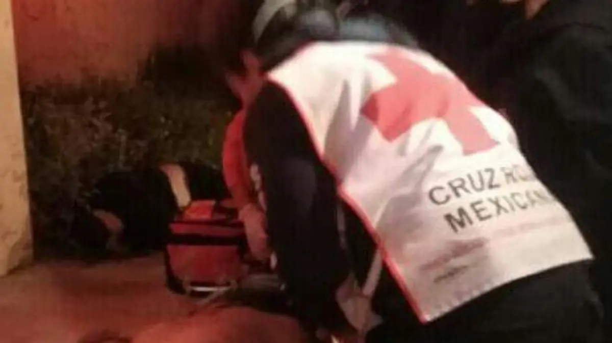 WhatsApp Image 2020-12-10 at 7.49.49 AM