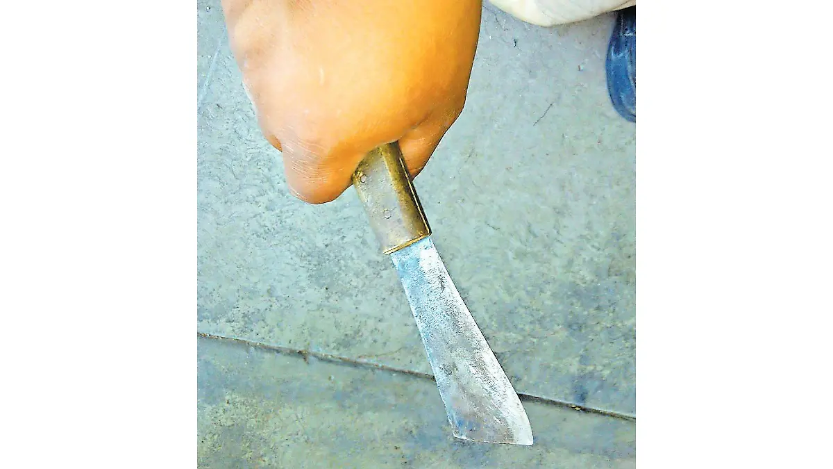 LESIONADOS PAG10 N3_CMYK (1)