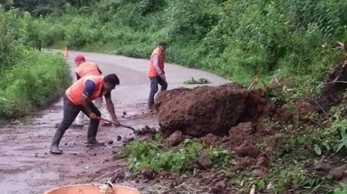 Árboles bloquean la vía Calnali-Ahuacatlán 