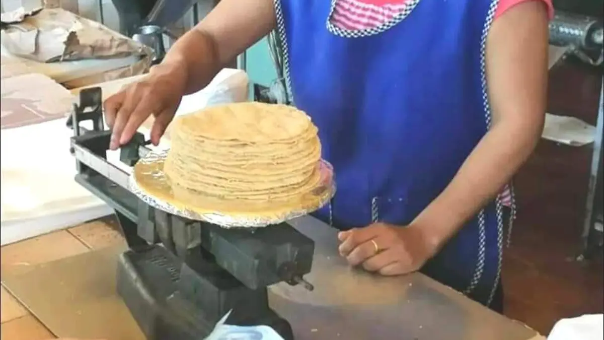 TORTILLA 2