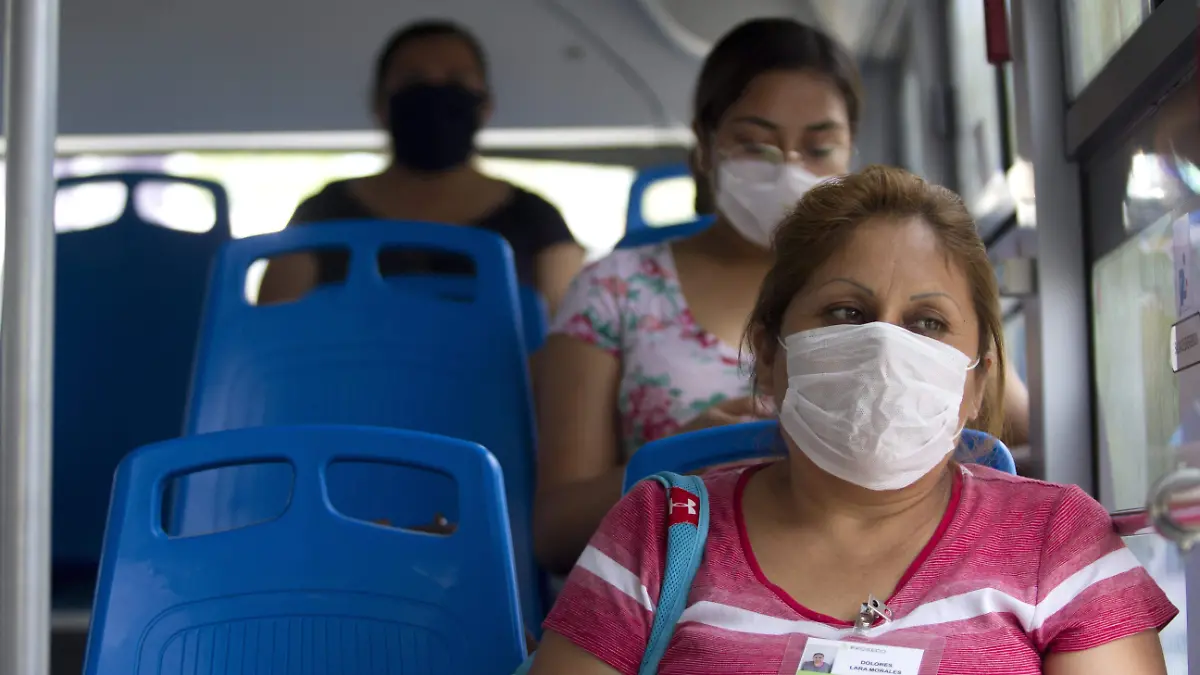 FASES DE LA PANDEMIA