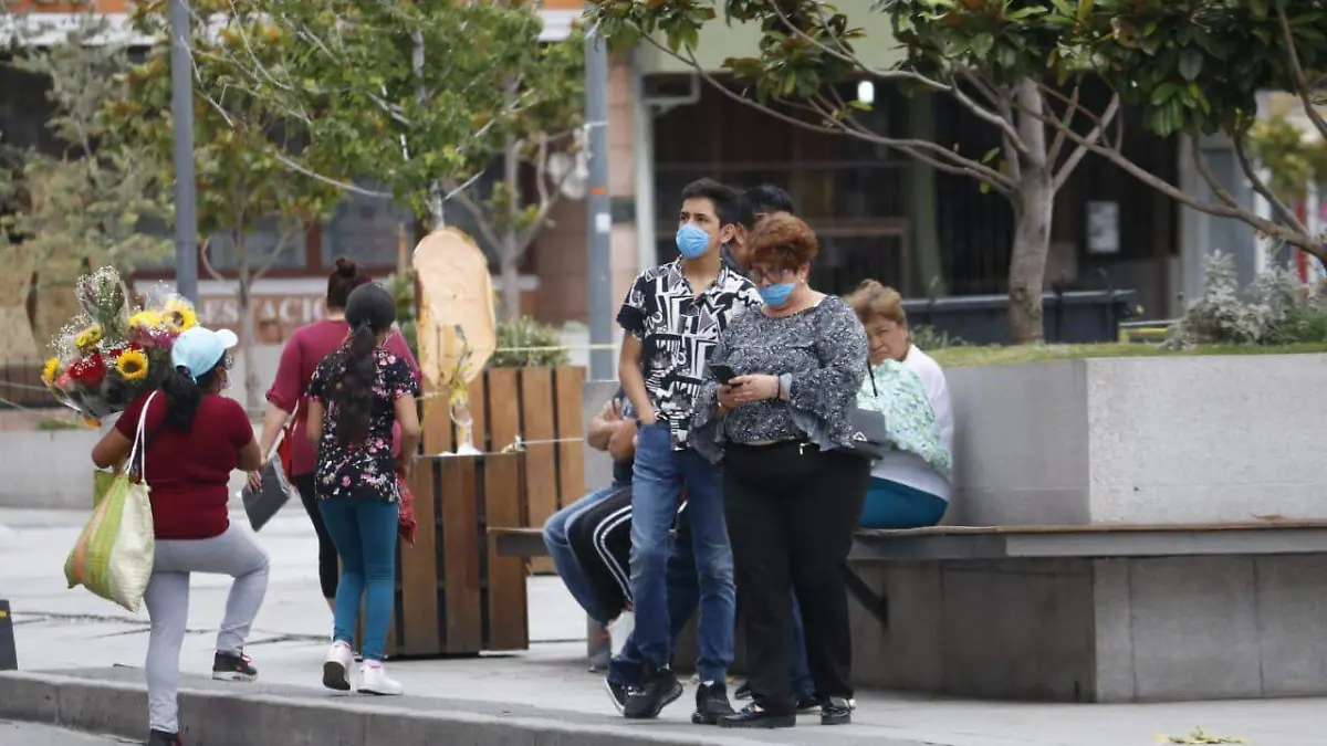 WhatsApp Image 2020-09-01 at 8.55.08 PM (1)