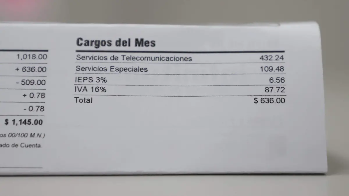 IVA BOLPRI F BEG (1)