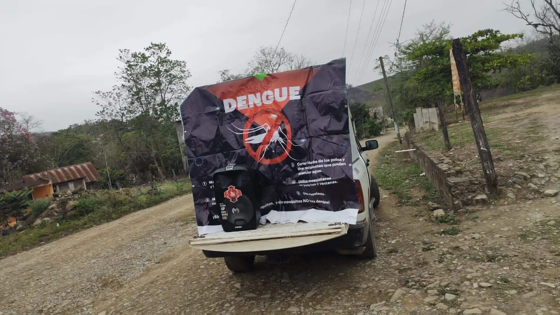 dengue