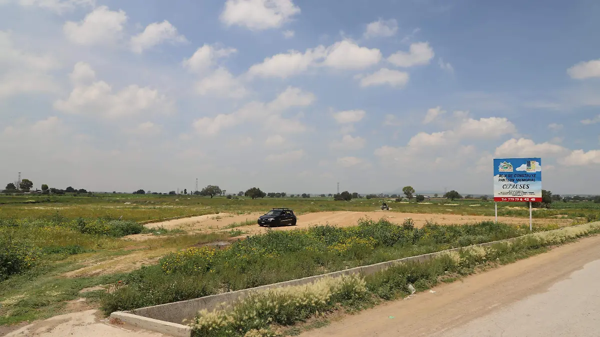 MEMORIAL CIPRESES F BEG (3)