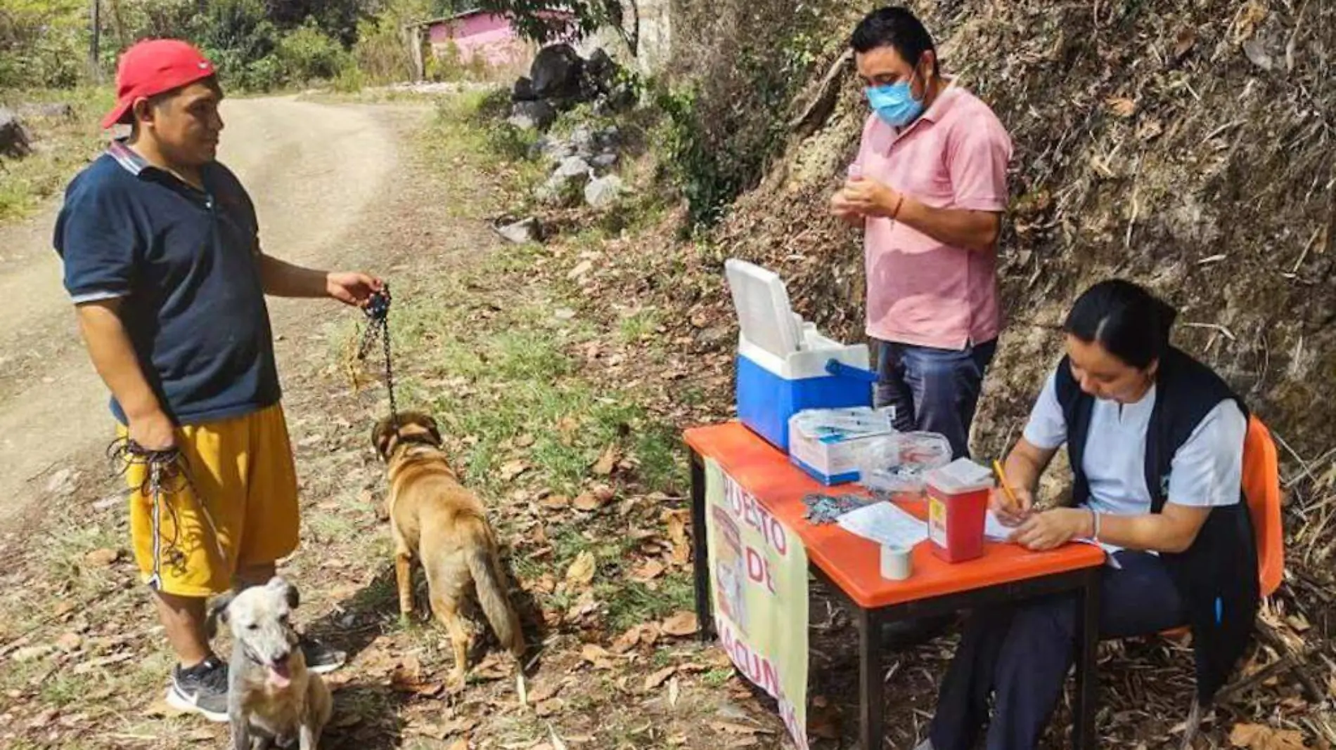 SALUD