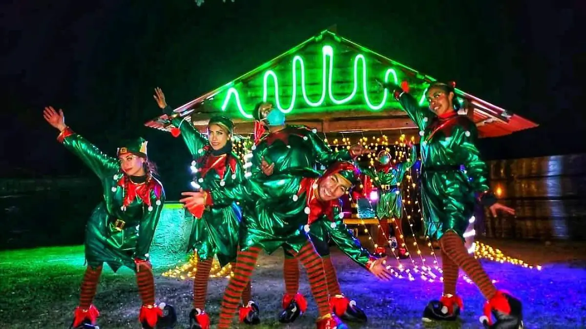 Realizarán tercera edición del Bosque iluminado