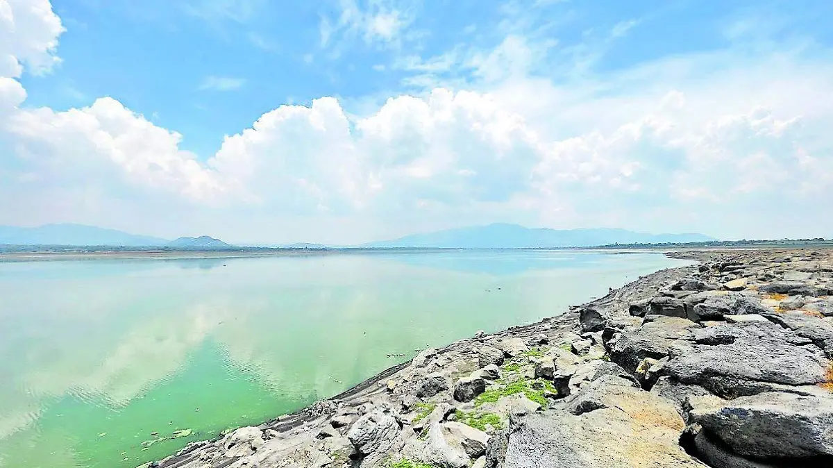 PRESA 2_CMYK