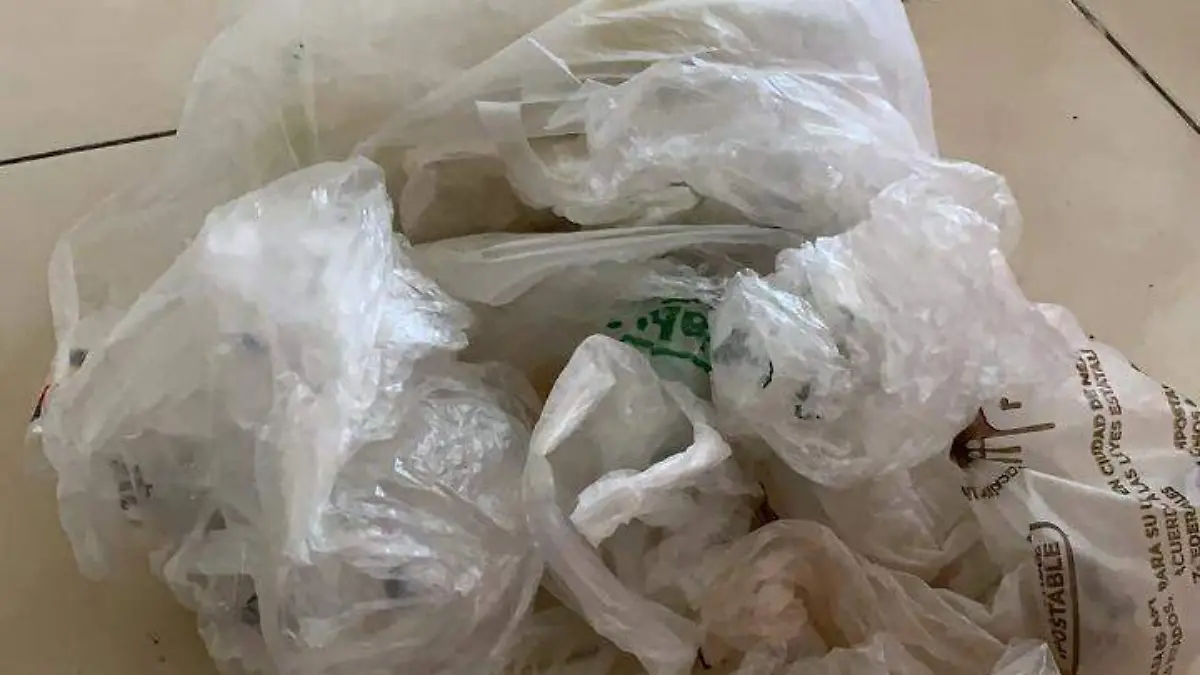 PLASTICOS (1)