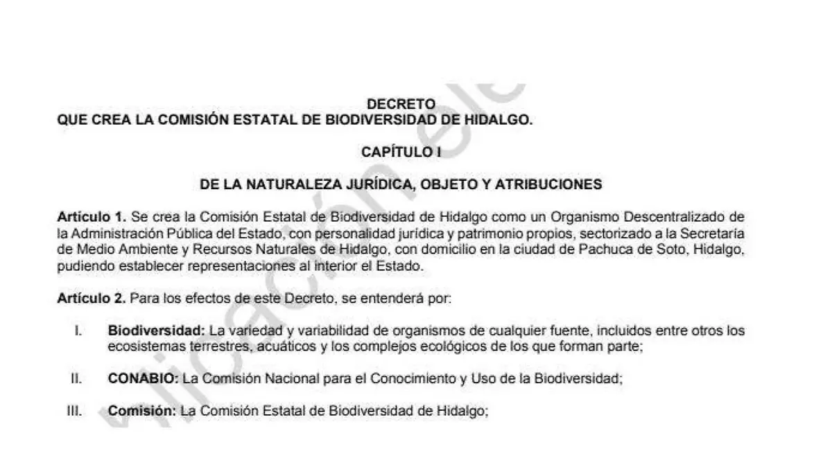 DECRETO COMISIÓN