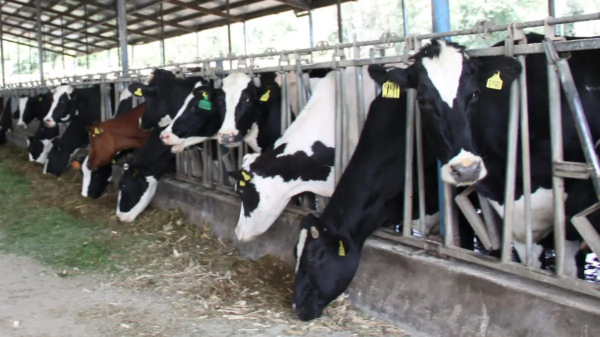 UAEH agroalimentario