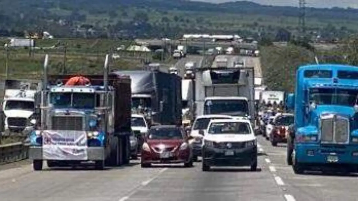 trafico