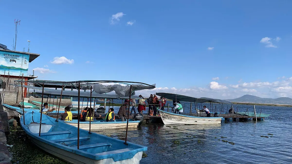 ANCAS DE RANA Y PATO EN TECOCOMULCO (9)