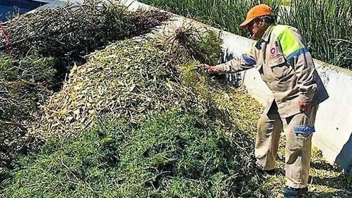 Ecologia